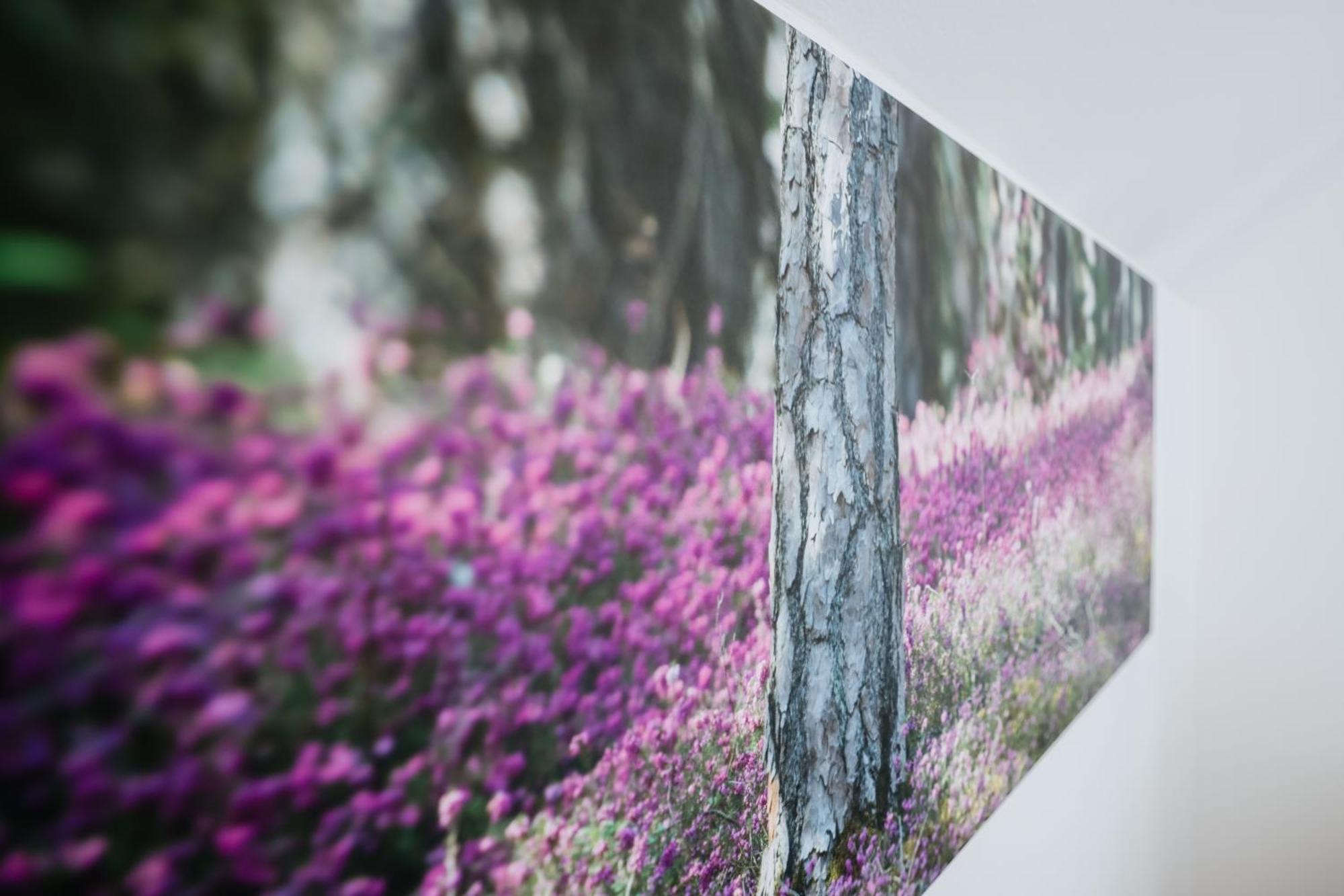 Eko Hisa-Eco House Na Razpotju Otel Solčava Dış mekan fotoğraf